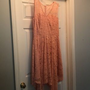 Blush Pink Lace Hidden Zipper Dress